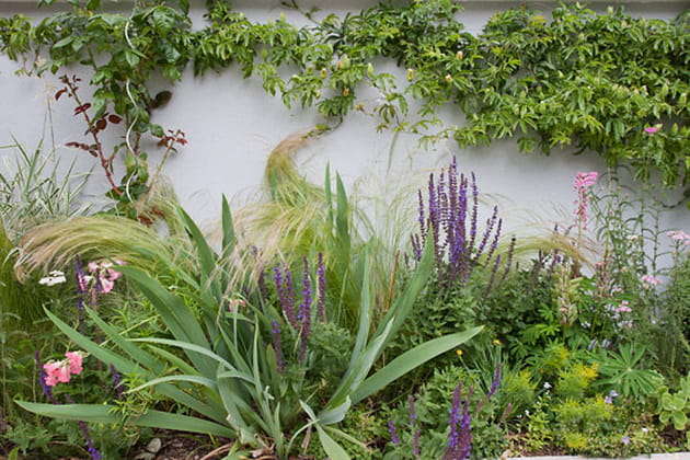 Variété et contraste le long de la façade
