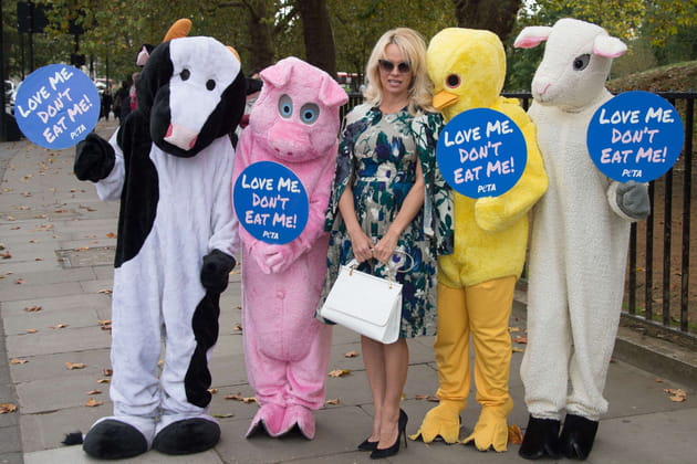 Pamela Anderson, l'amie des bêtes