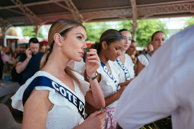 Miss C&ocirc;te d'Azur