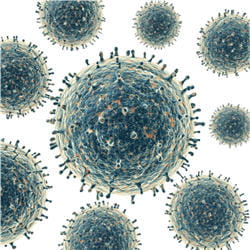 le vih s'infiltre dans certains globules blancs pour se multiplier. petit à