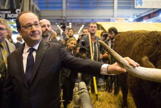 François Hollande touche une corne