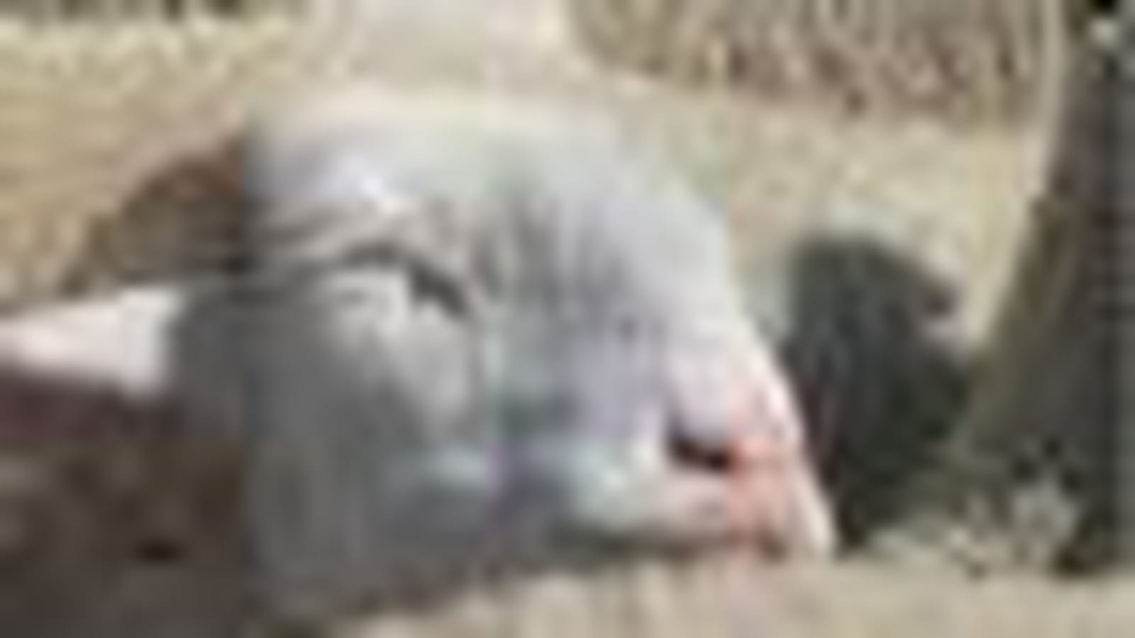 Un mouton dormeur