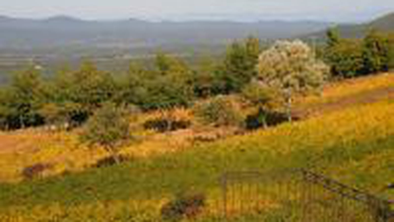 Ferme de Cabassude