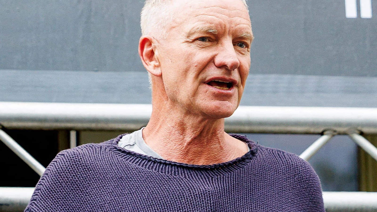 Sting 