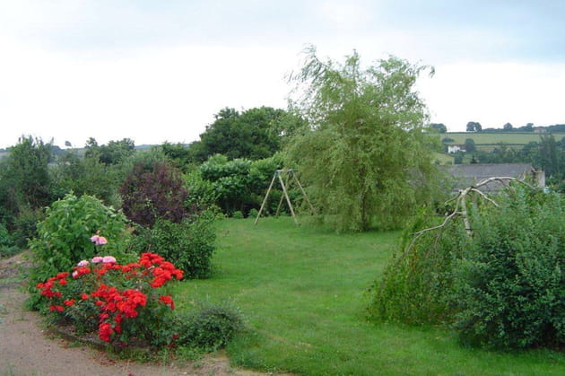 Sous les branches du saule