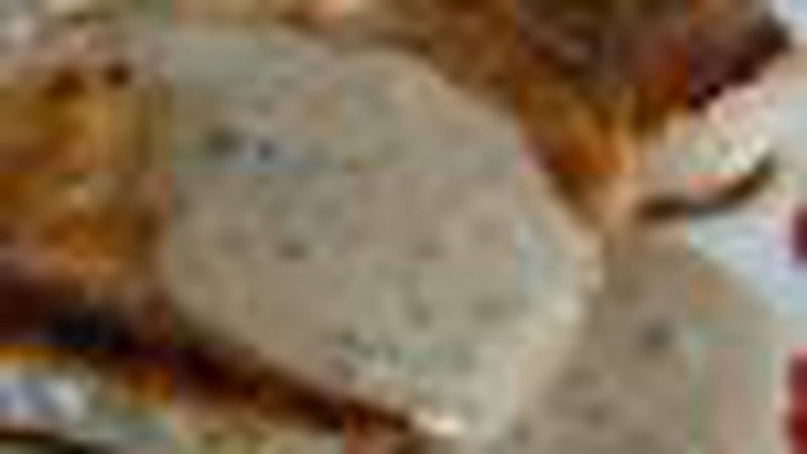 Côtes de porc