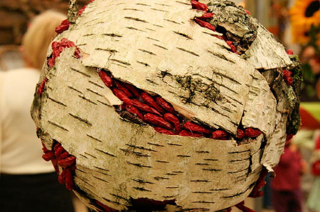 Ecorce pleine &agrave; craquer de piments