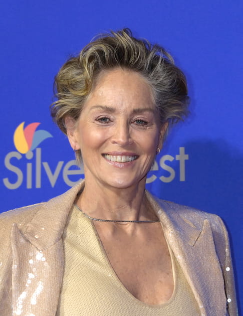 Sharon Stone adopte le brushing id&eacute;al apr&egrave;s 65&nbsp;ans