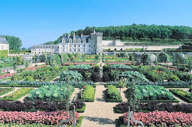 Un potager immense et plein de vie