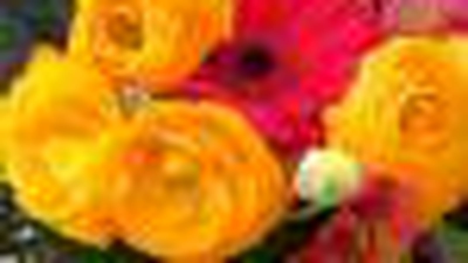 Bouquet coloré