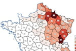 Hantavirus en France : carte, nombre de cas, un risque d'épidémie ?