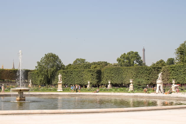 Des arbres taillés en topiaires au jardin des Tuileries