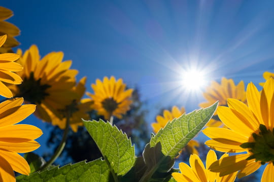 M&eacute;t&eacute;o&nbsp;: cette journ&eacute;e sera l'une des plus chaudes depuis 100&nbsp;ans