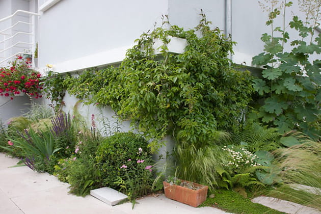 Un jardin prêt à évoluer