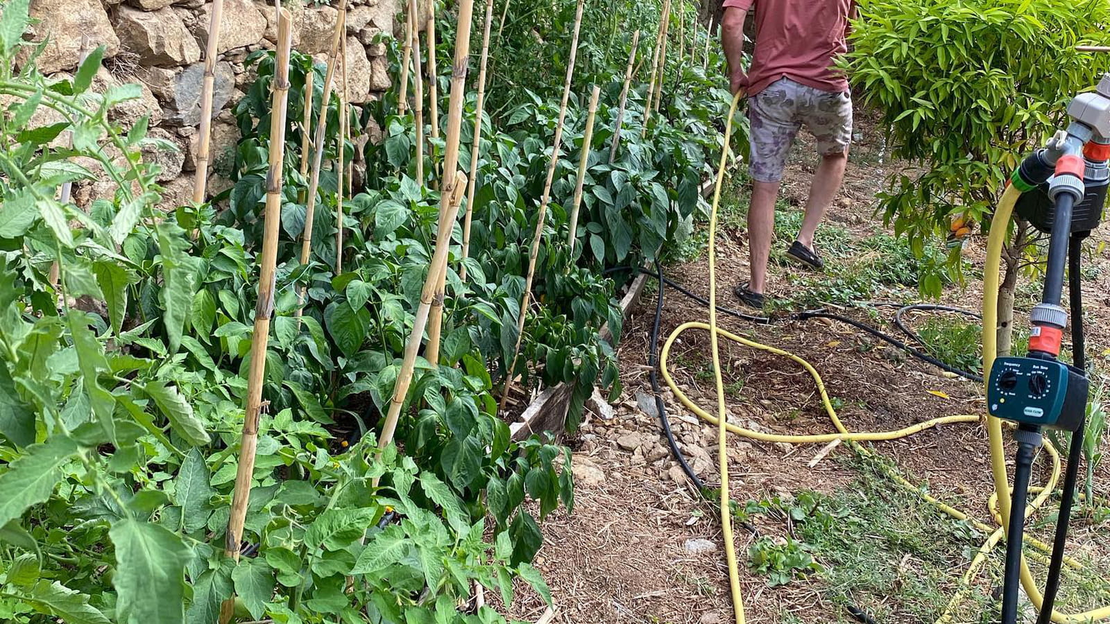 Son mari Stéphane aide au jardin