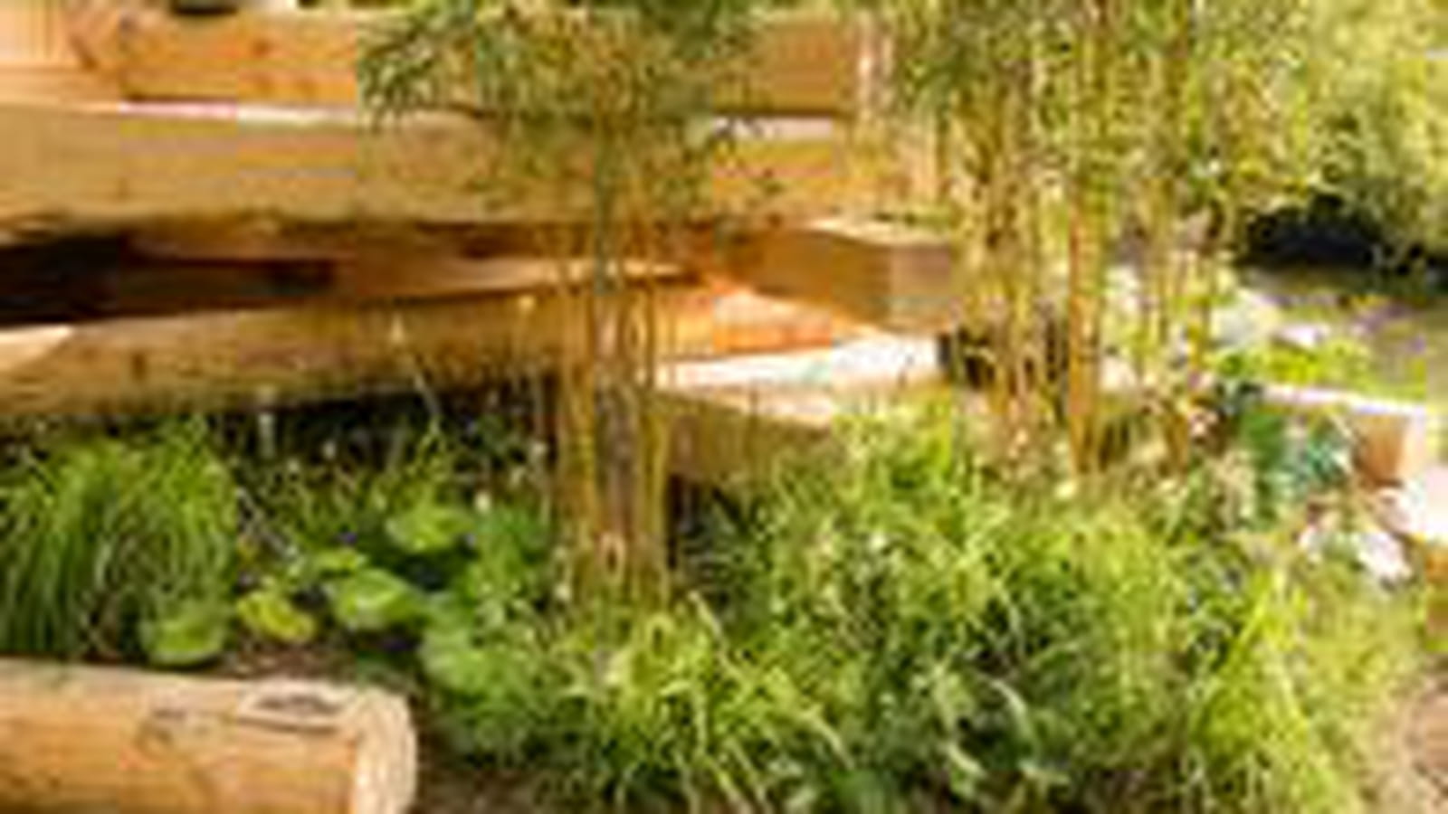 Jardin mère