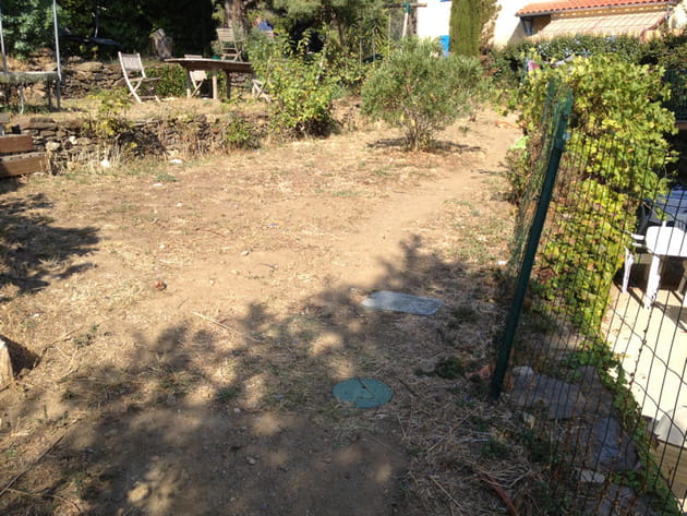 Avant : une pelouse transformée en terre sèche