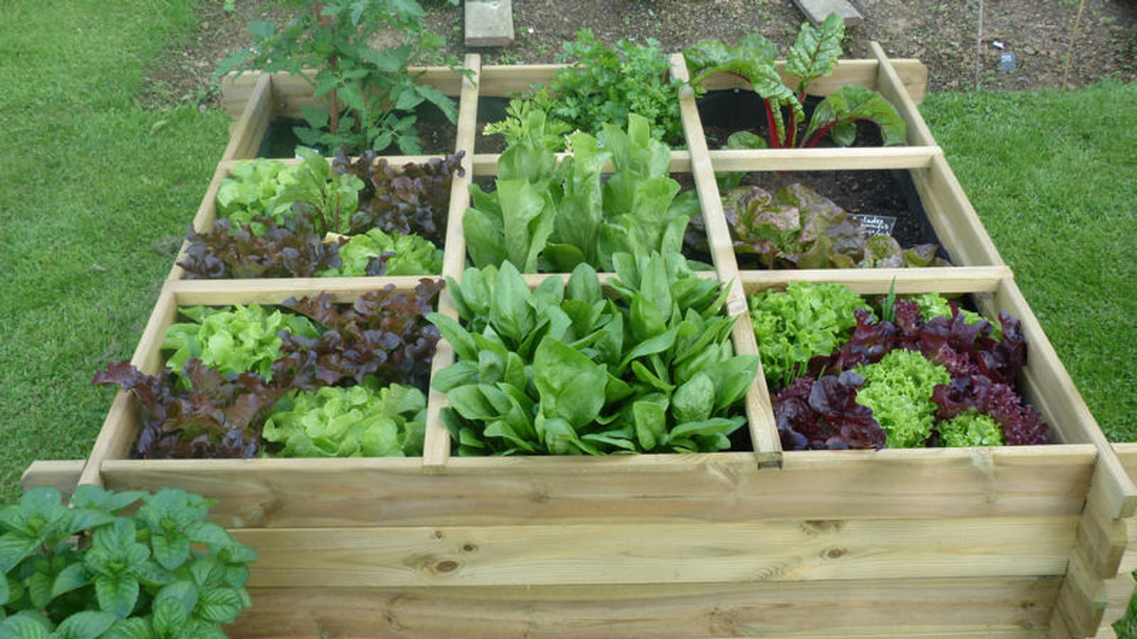 Potager