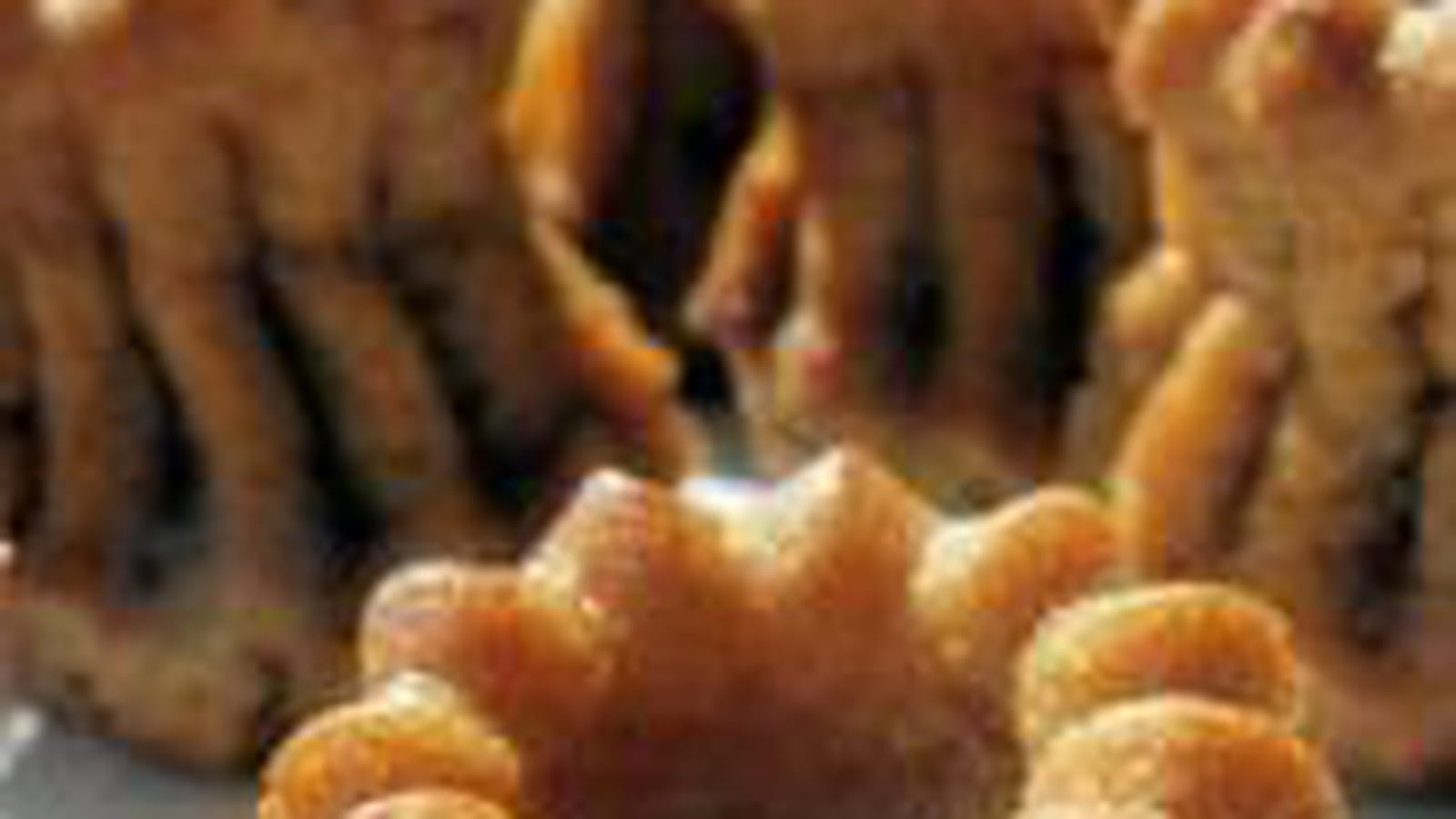 Cannelés au pain d'épices