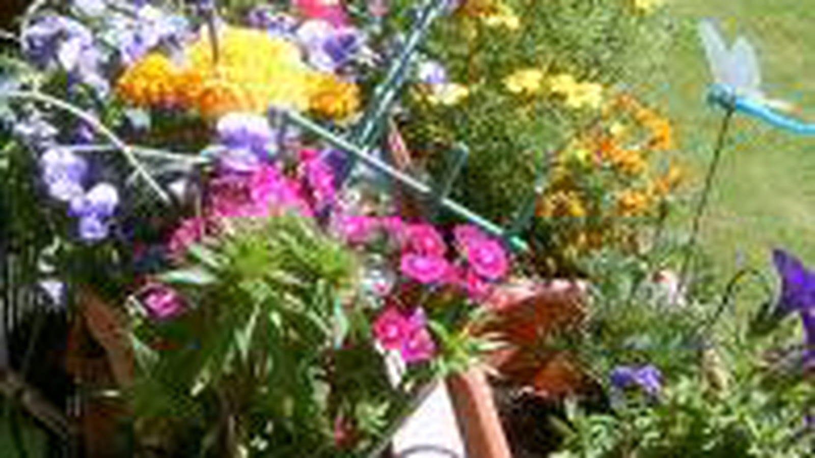 Des fleurs à profusion
