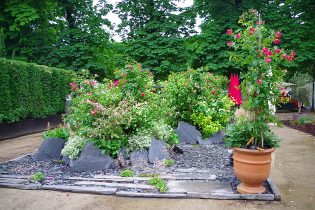 Un jardin rempli de roses