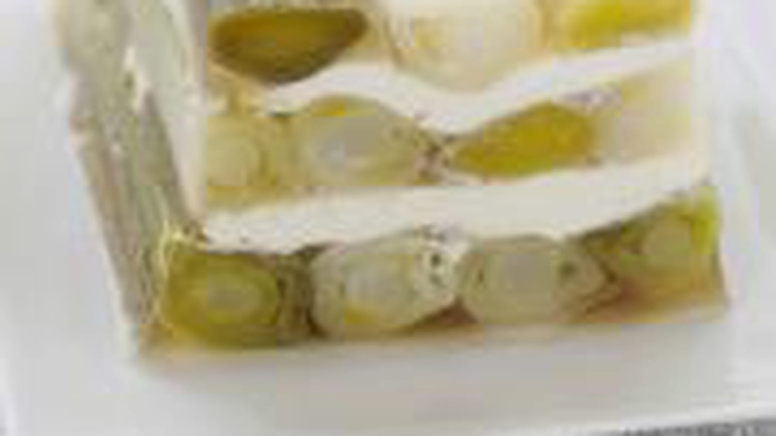 Terrine de poireaux & Caprice des Anges à la vinaigrette balsamique
