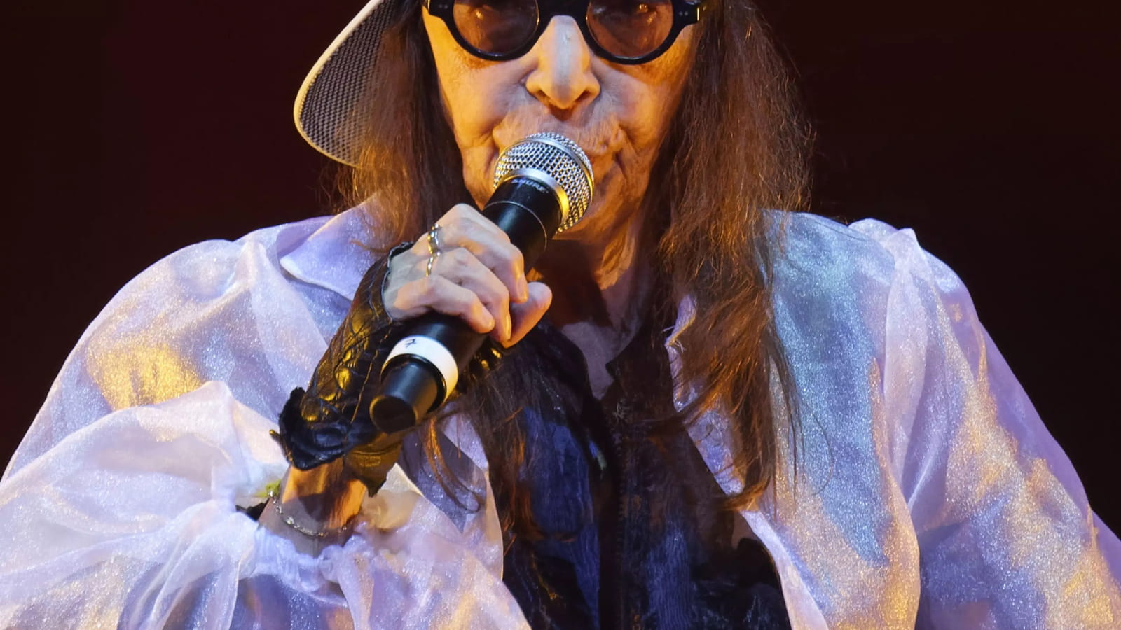 Brigitte Fontaine