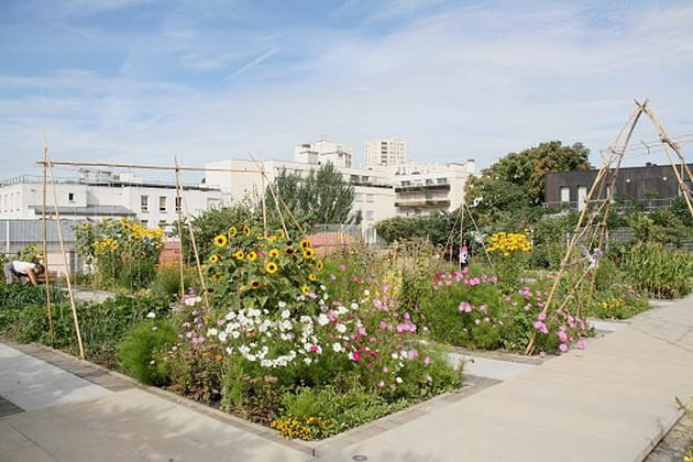 Un jardin suspendu sur le toit d'un gymnase parisien