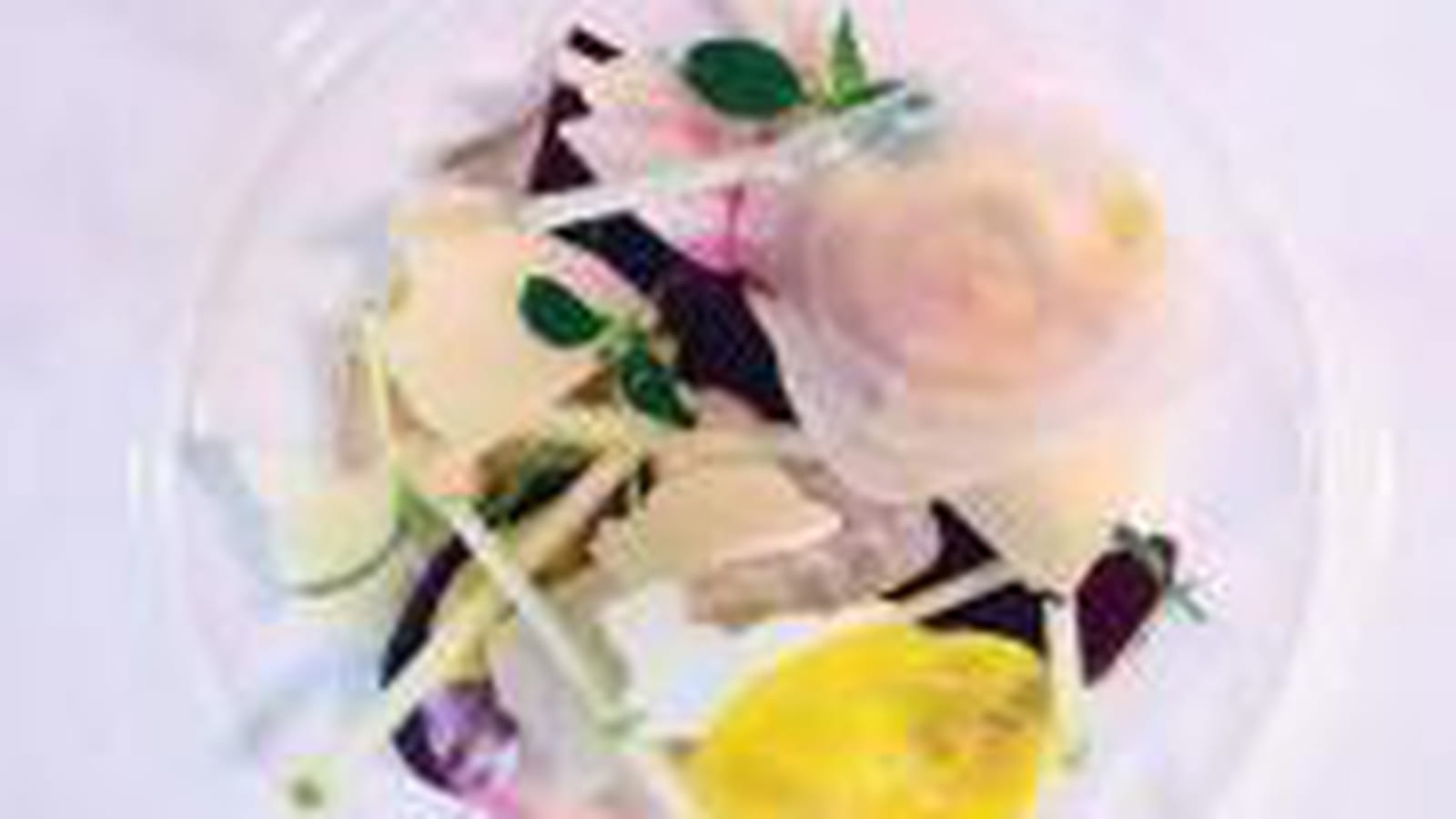 Norbert Tarayre cherche la recette