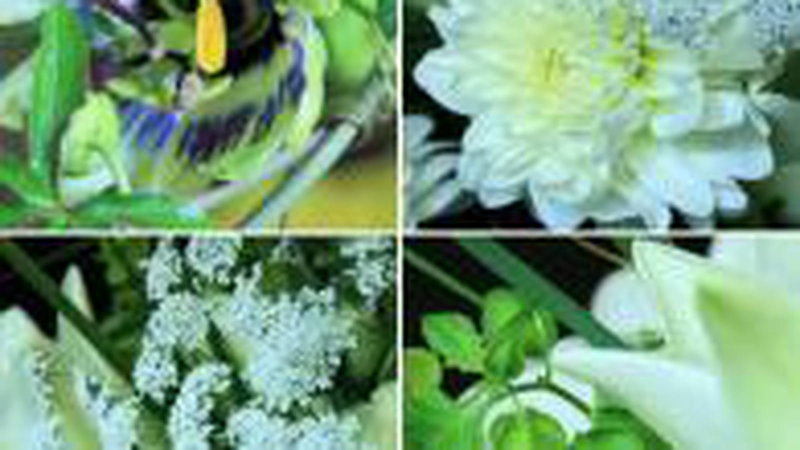 Les fleurs