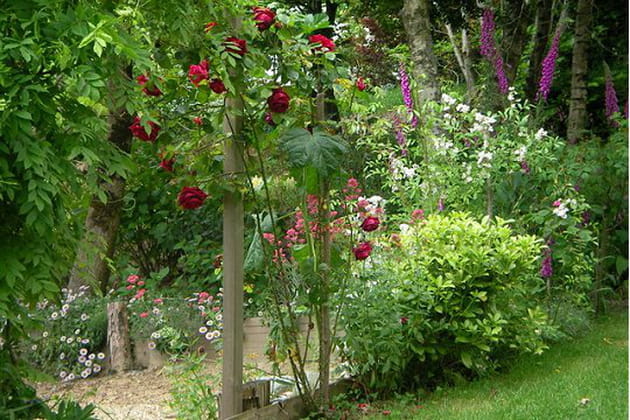 L'amour des plantes et des jardins am&eacute;nag&eacute;s avec go&ucirc;t