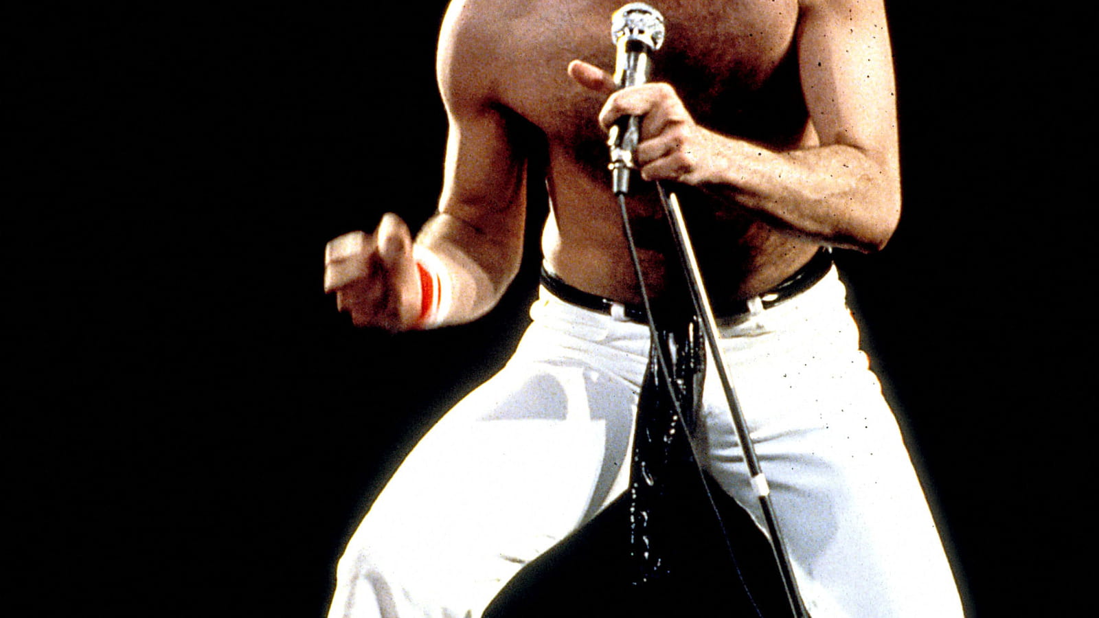 Freddie Mercury 