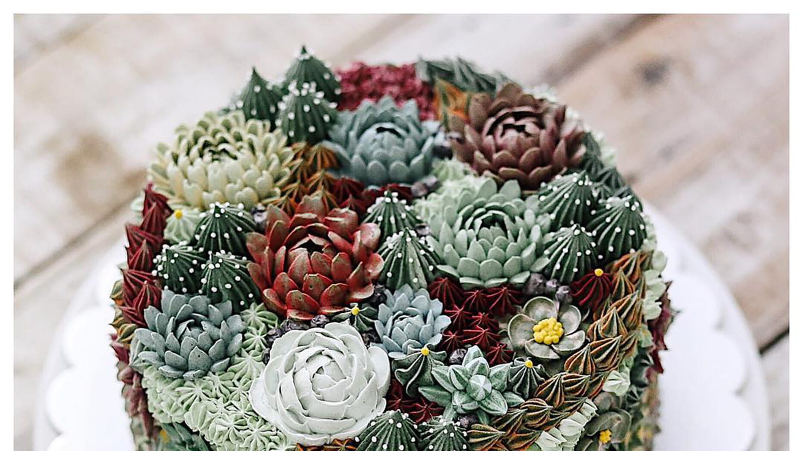 Forêt de succulentes