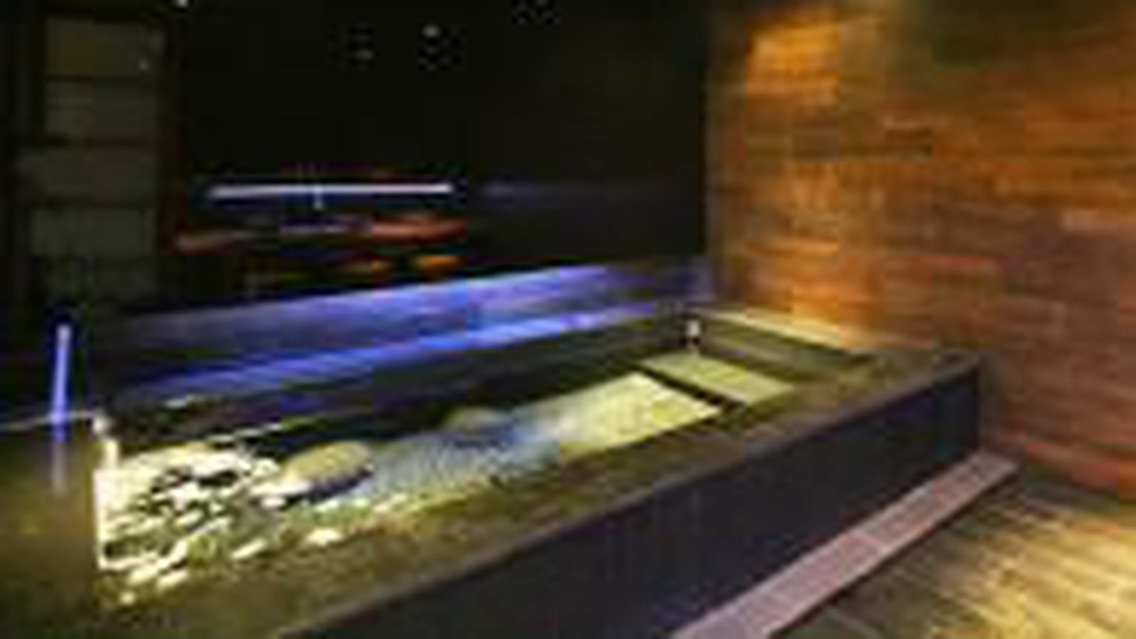 Bain japonais