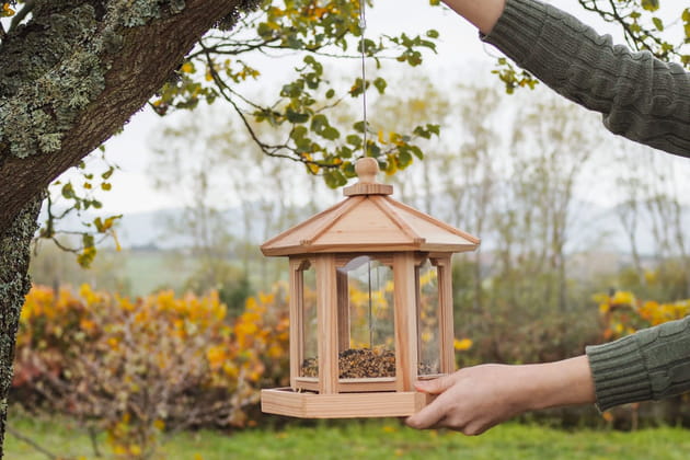Une mangeoire &agrave; oiseaux en c&egrave;dre Nature & D&eacute;couvertes