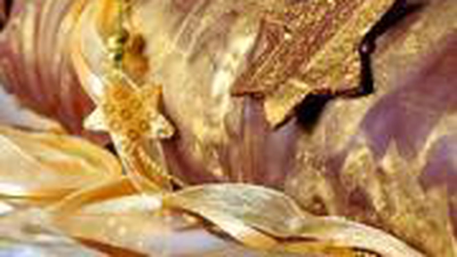 Bûche façon Opéra