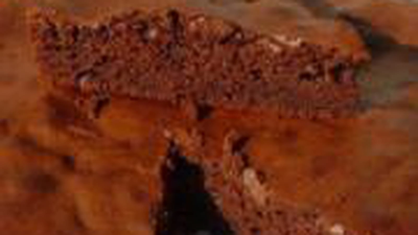 Fondant au chocolat et aux Petits Suisse