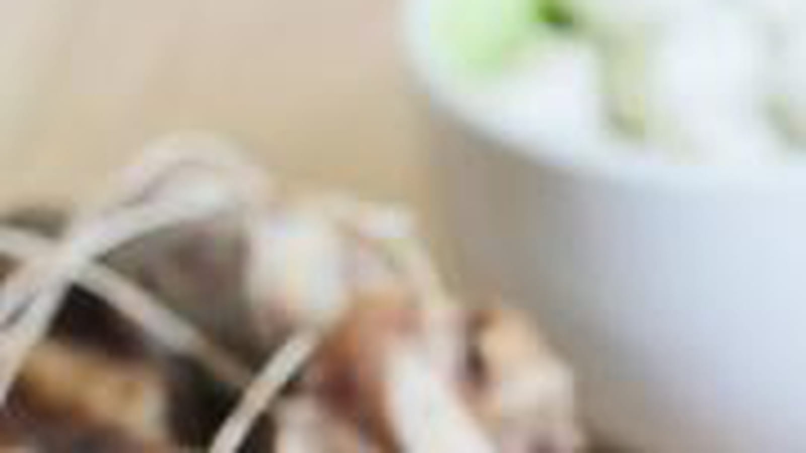 Côte et jarret de boeuf en salade