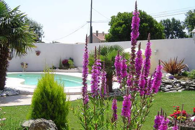 Au bord de la piscine