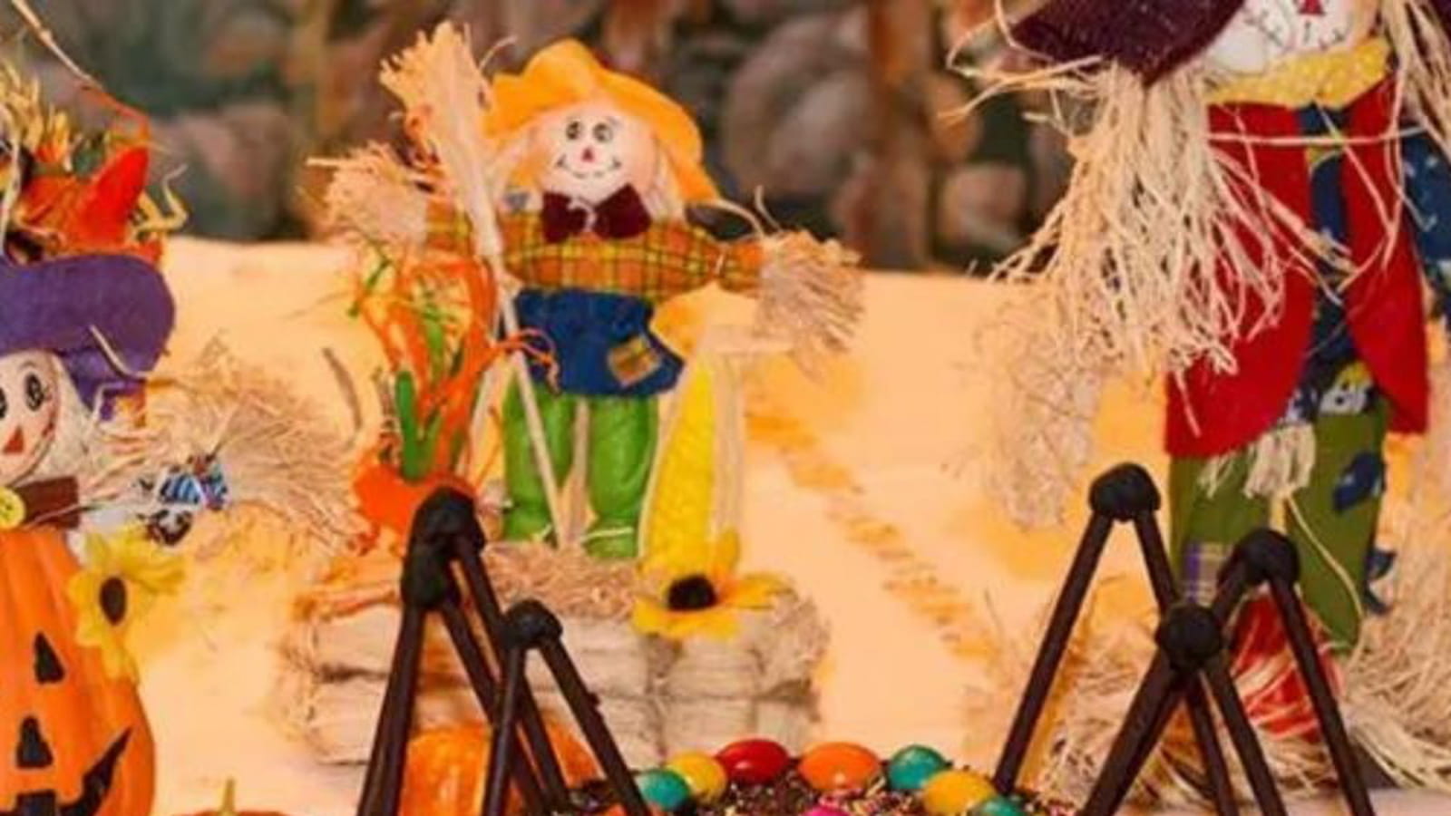Gâteau araignée d'Halloween