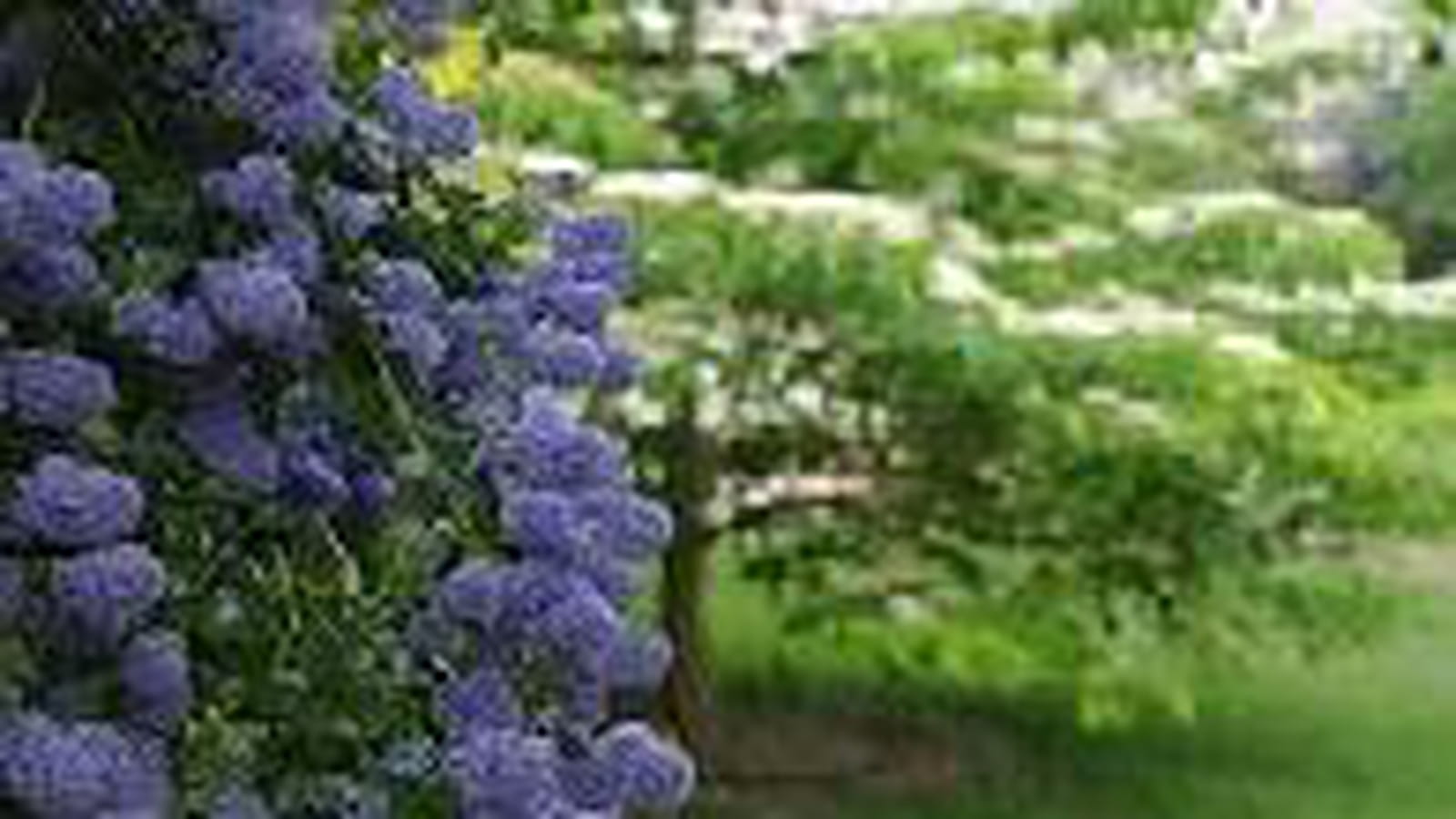 Couleurs
