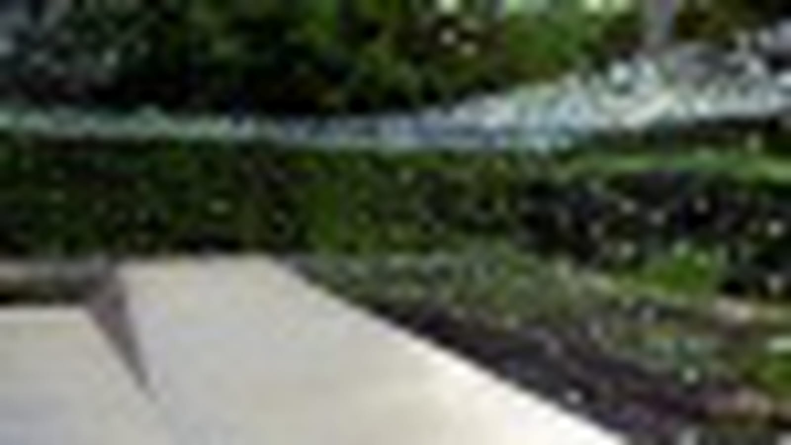 Le jardin Réflexions