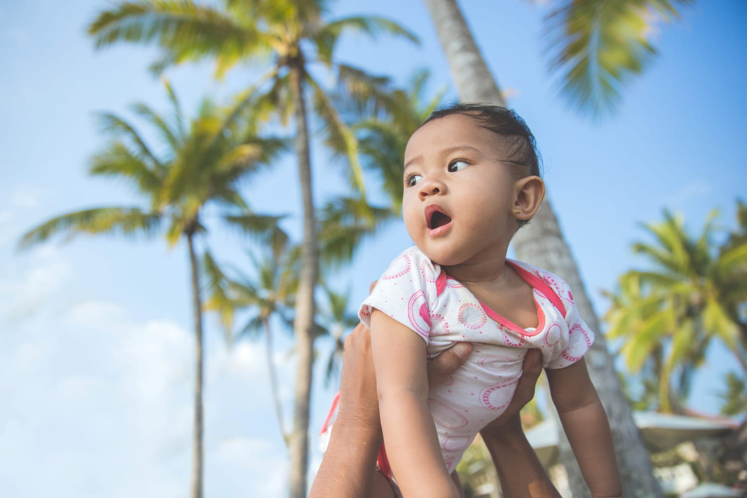 here are more than 50 inspirations from French Polynesia here are more than 50 inspirations from French Polynesia