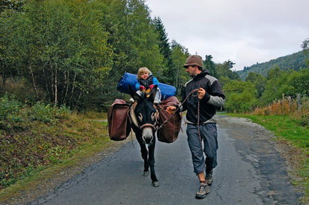 L'&acirc;ne va bon train sur les routes c&eacute;venoles