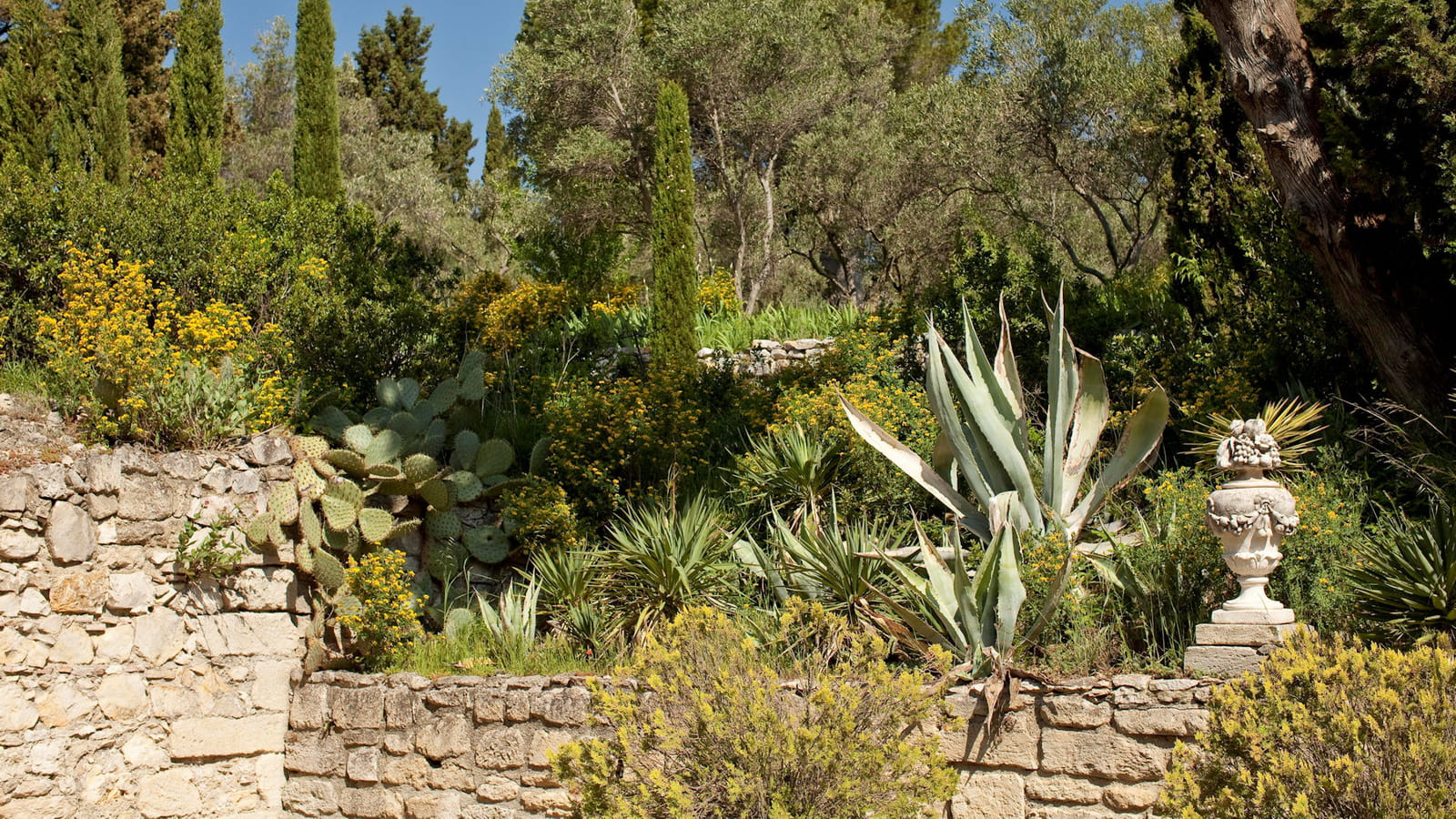 Jardin méditerranéen