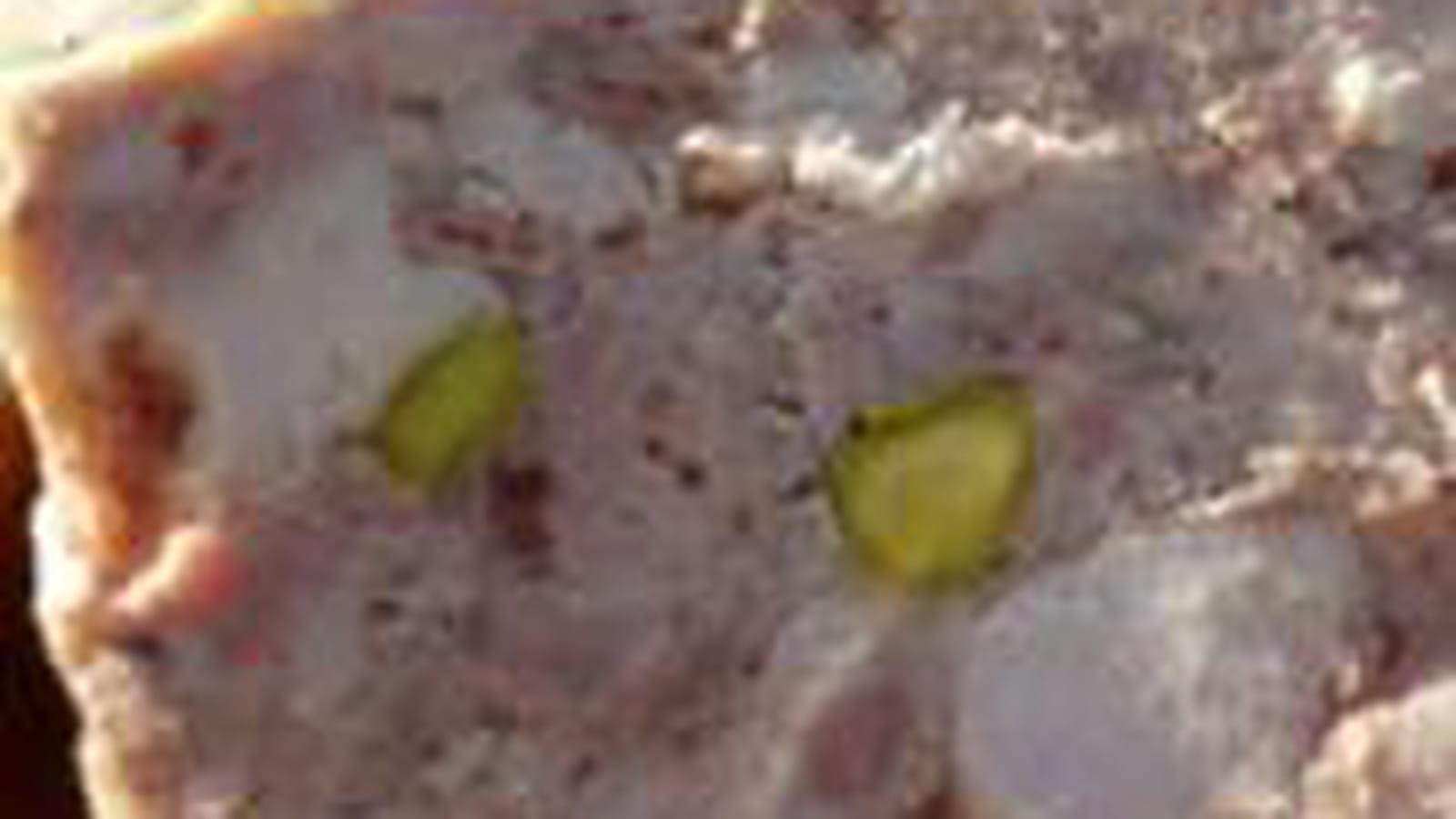 Terrine de lapin aux pistaches