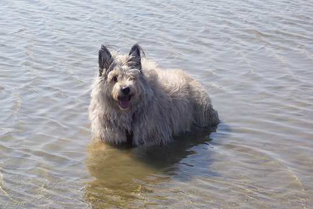 Plus on est de fous...