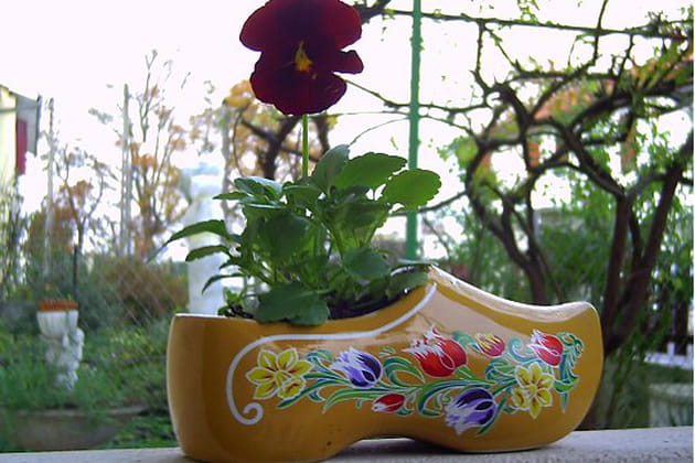 Une pens&eacute;e dans un sabot