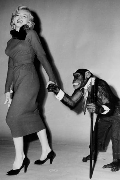 Marilyn Monroe en robe midi à col montant en fourrure