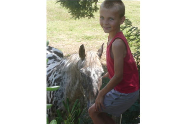 Tino et le poney corse